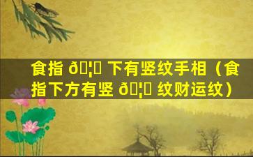 食指 🦅 下有竖纹手相（食指下方有竖 🦅 纹财运纹）